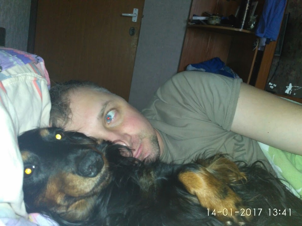 Today my girl passed away - My, Long-haired dachshund, A pity, Longpost, Dog, Sadness, Pets, Death