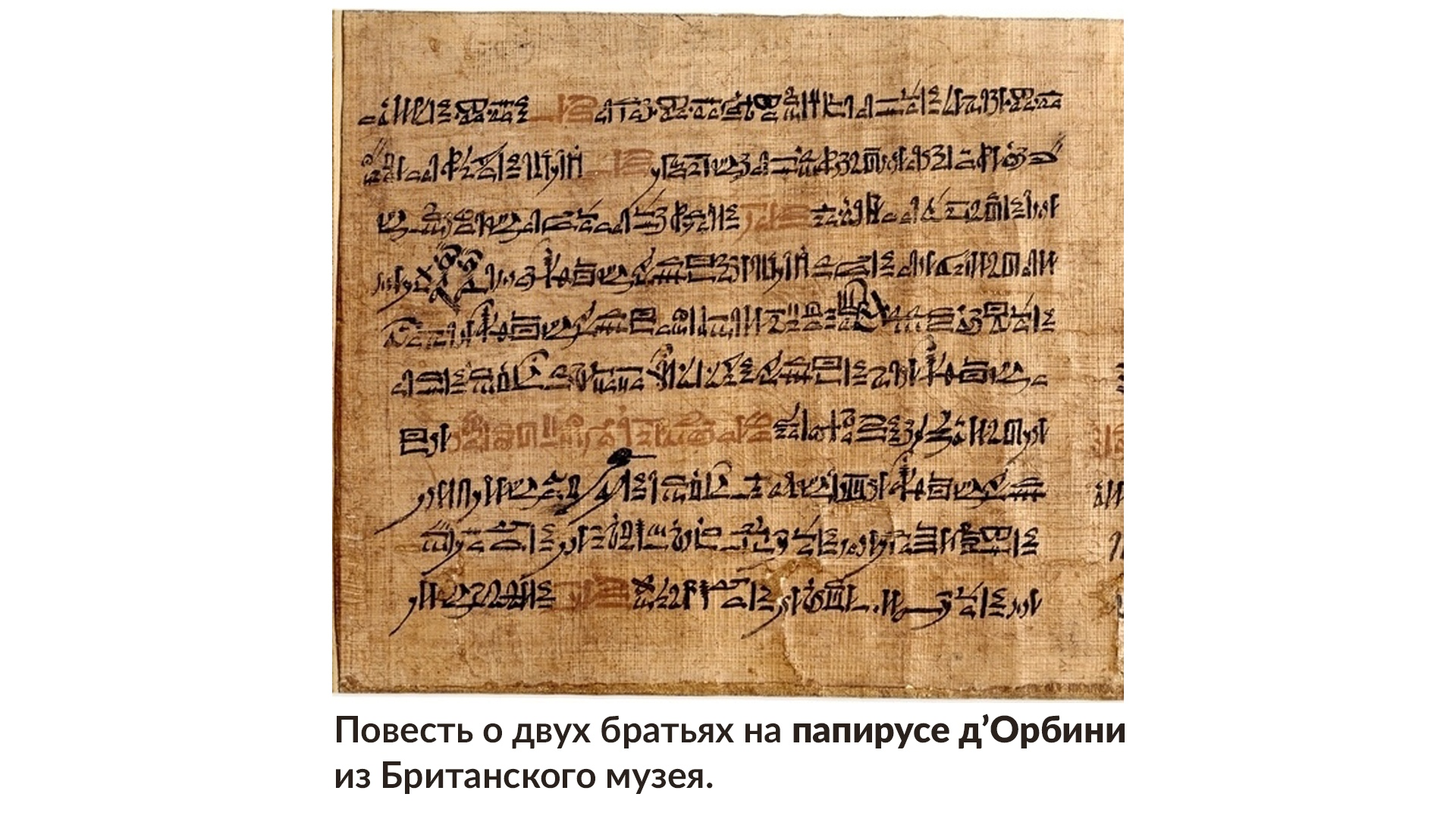 Максим Лебедев о судах, разводах, пиве и гуманизме в Древнем Египте. Часть  1 | Пикабу