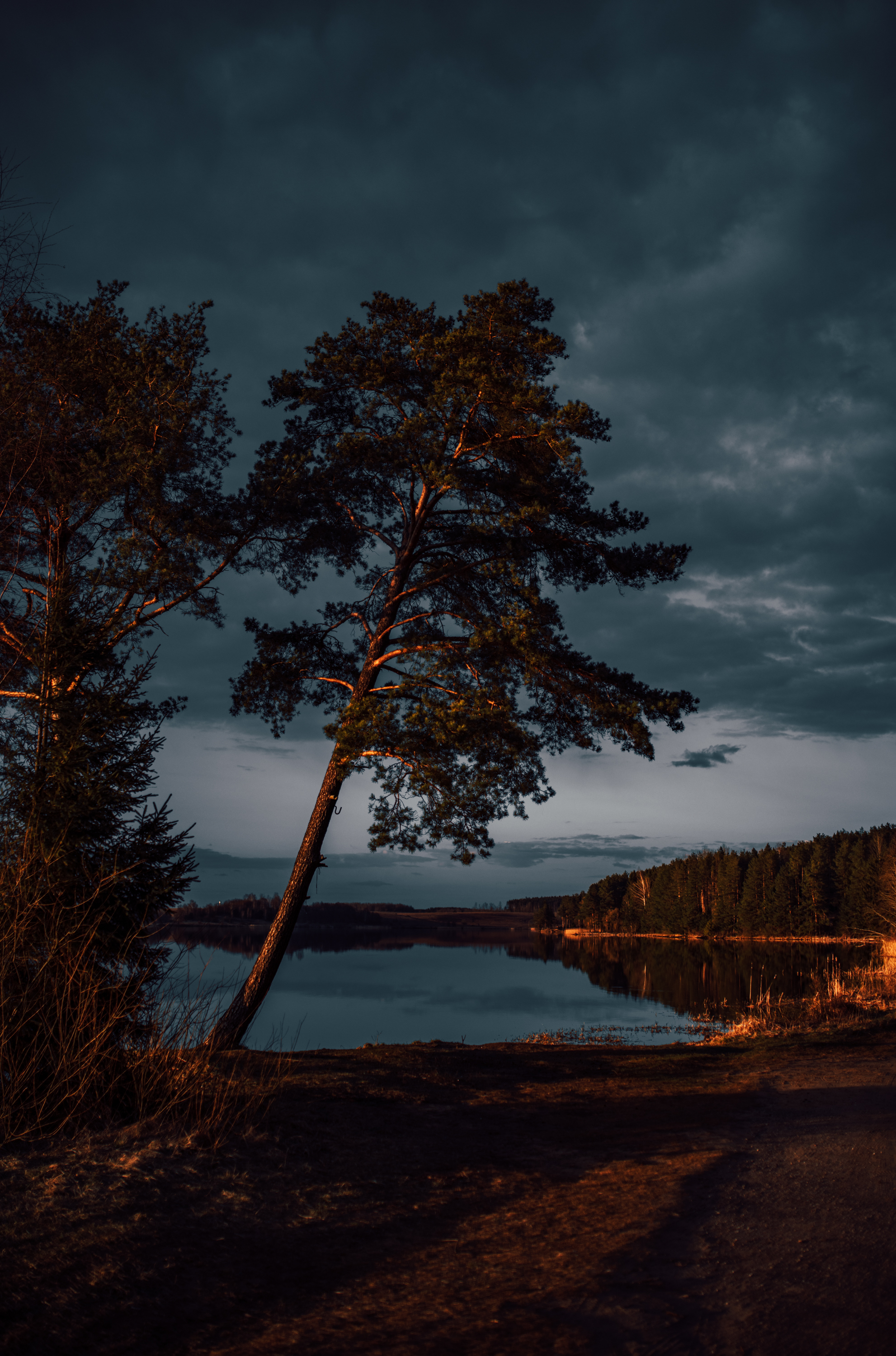 Food by the fire - My, Bonfire, Evening, Food, Sunset, Forest, Nature, Hike, The photo, Longpost