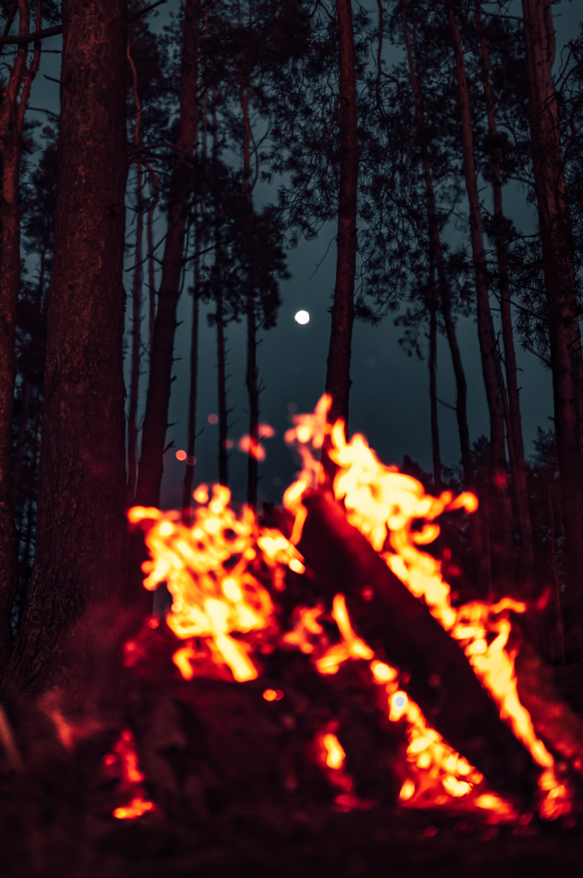 Food by the fire - My, Bonfire, Evening, Food, Sunset, Forest, Nature, Hike, The photo, Longpost