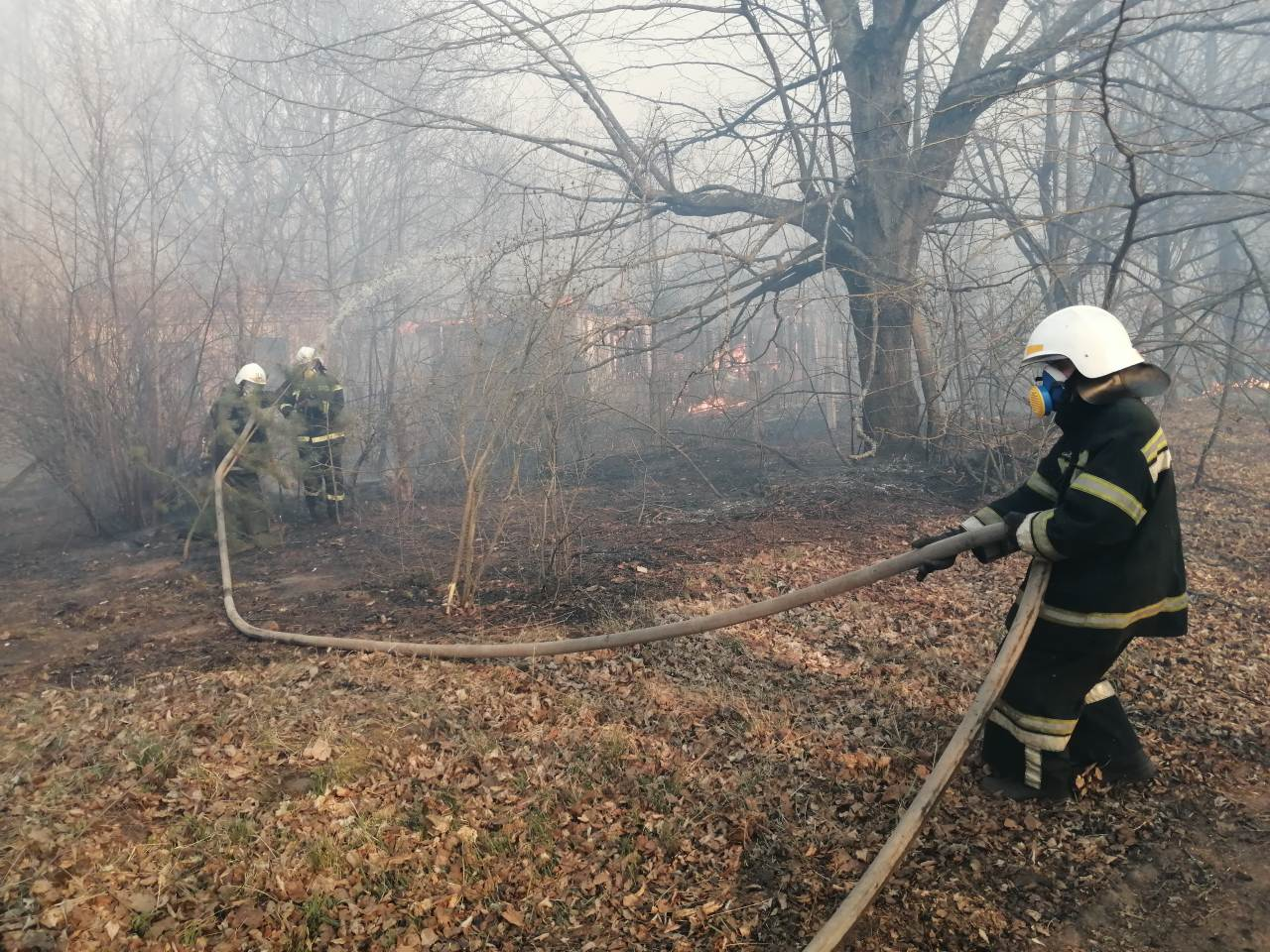 Fires currently raging in the Chernobyl Zone - Chernobyl, Fire, Video, Longpost