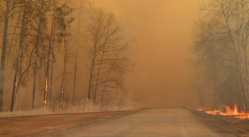 Fires currently raging in the Chernobyl Zone - Chernobyl, Fire, Video, Longpost