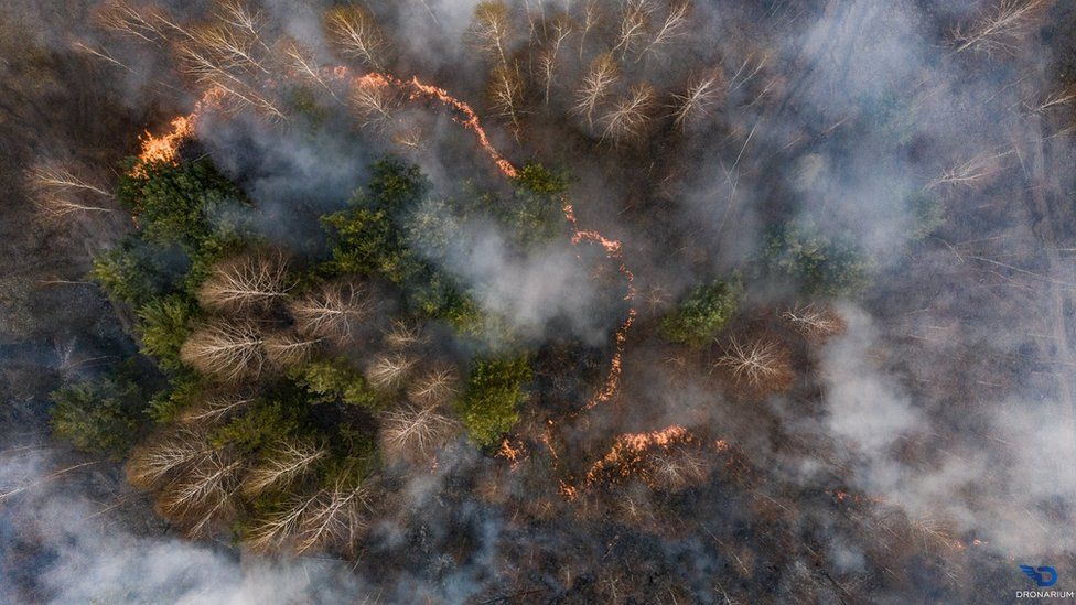 Fires currently raging in the Chernobyl Zone - Chernobyl, Fire, Video, Longpost