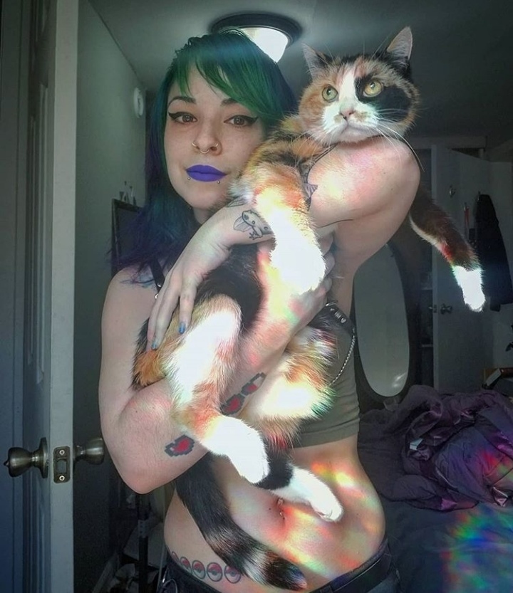 Pussies - Girls, The photo, cat