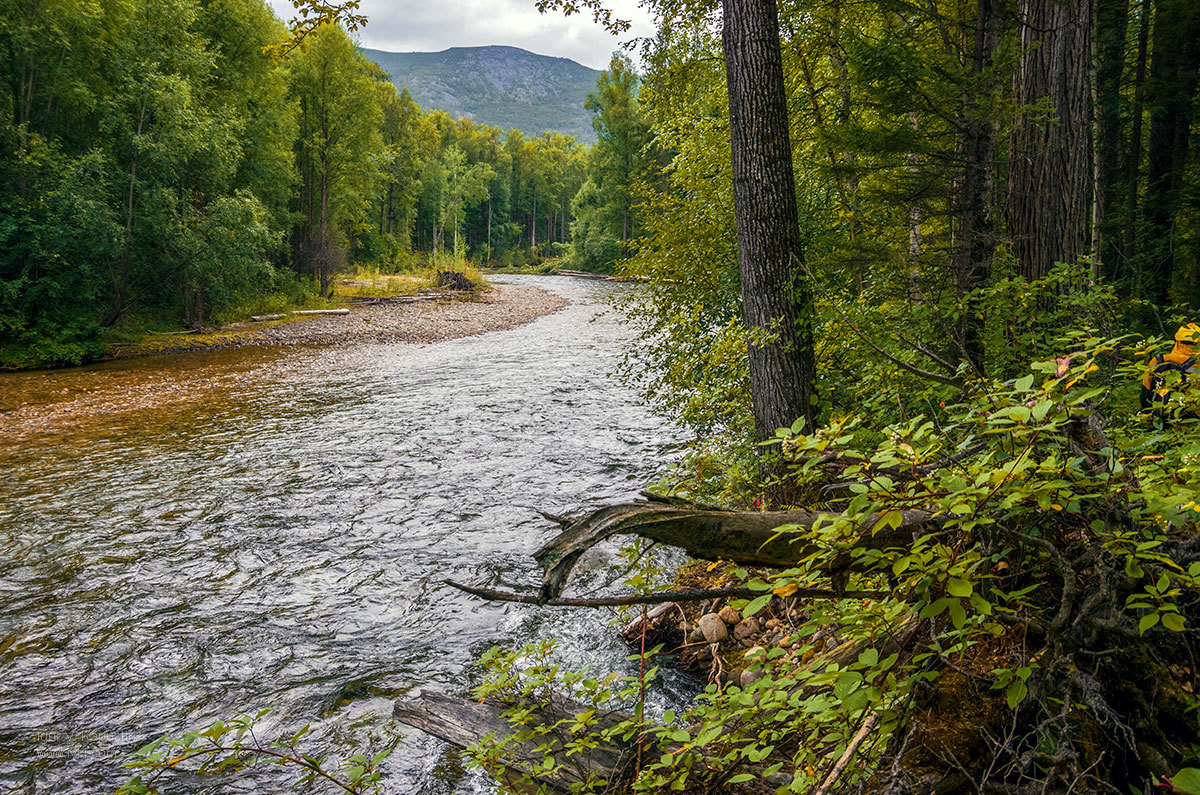 On the Shegnanda River - My, River, Travels, Travel across Russia, Longpost