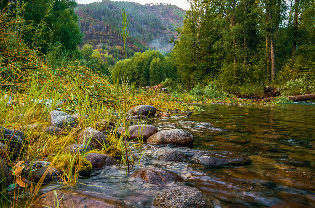 On the Shegnanda River - My, River, Travels, Travel across Russia, Longpost