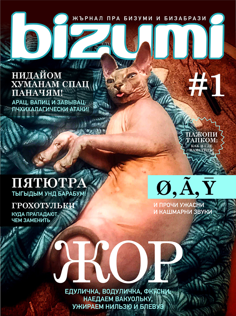 Magazine for cats - My, cat, Zhor, Madness, Quarantine