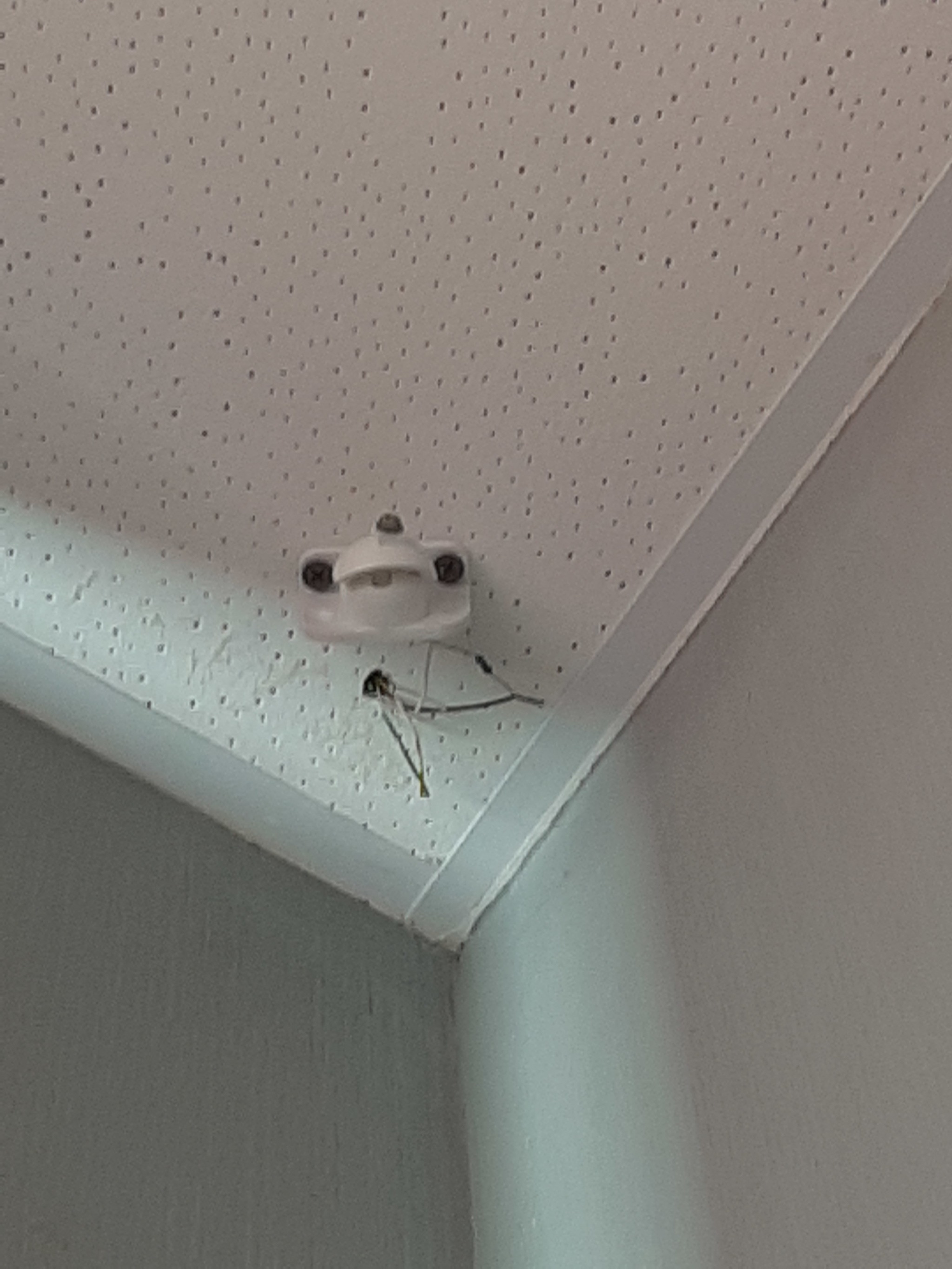 Tell me what that thing is on the ceiling in the office - Office, Surveillance, Help me find