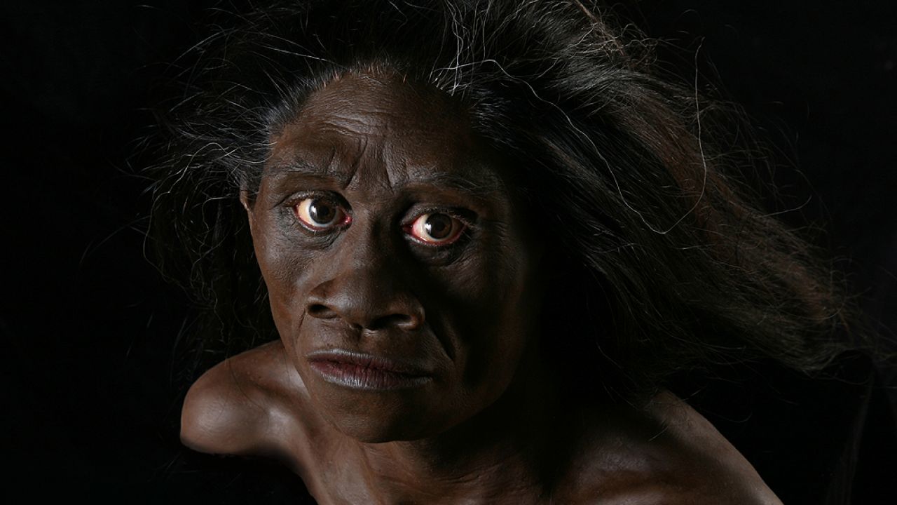 Homo floresiensis. Человек флоресский Хоббит.