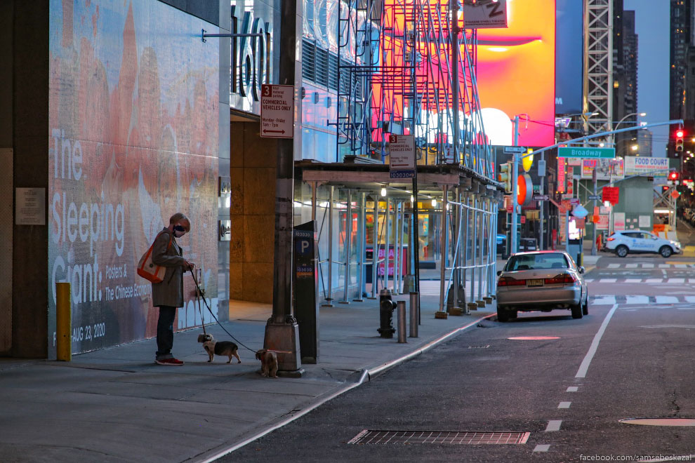 New York today - New York, USA, Coronavirus, Longpost