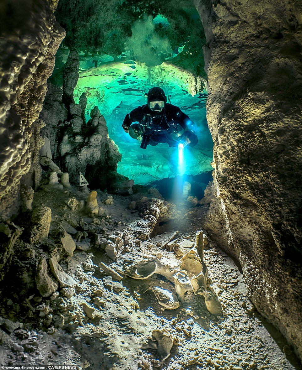 Вертикальная пещера затоплена водой можно найти уровень. Сенот дайвер Мексика. Подводные пещеры Юкатана. Карстовые озера Мексика Сенот. Мексика Сеноты дайвинг.