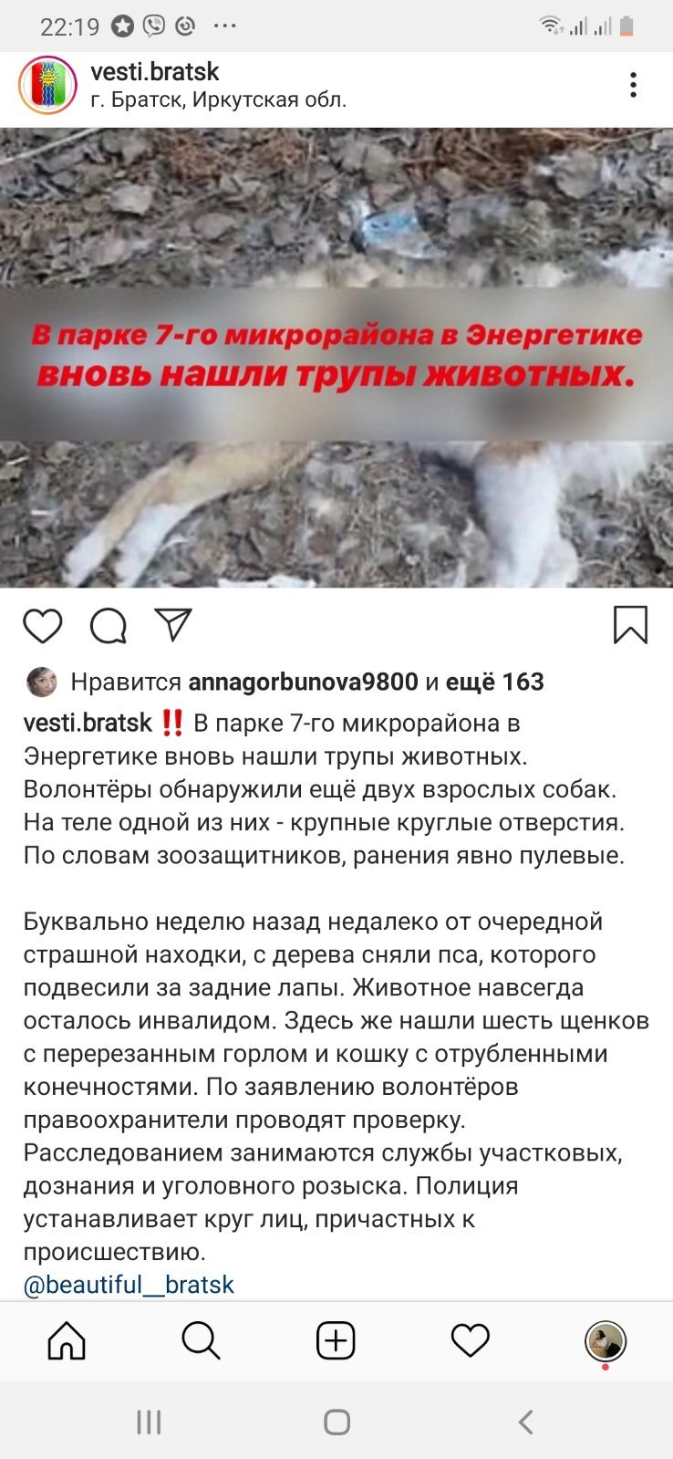 BRATSK. help is needed. No rating. Please turn it up to hot - My, Help, Puppies, Dog, Bratsk, Good league, No rating, Video, Longpost