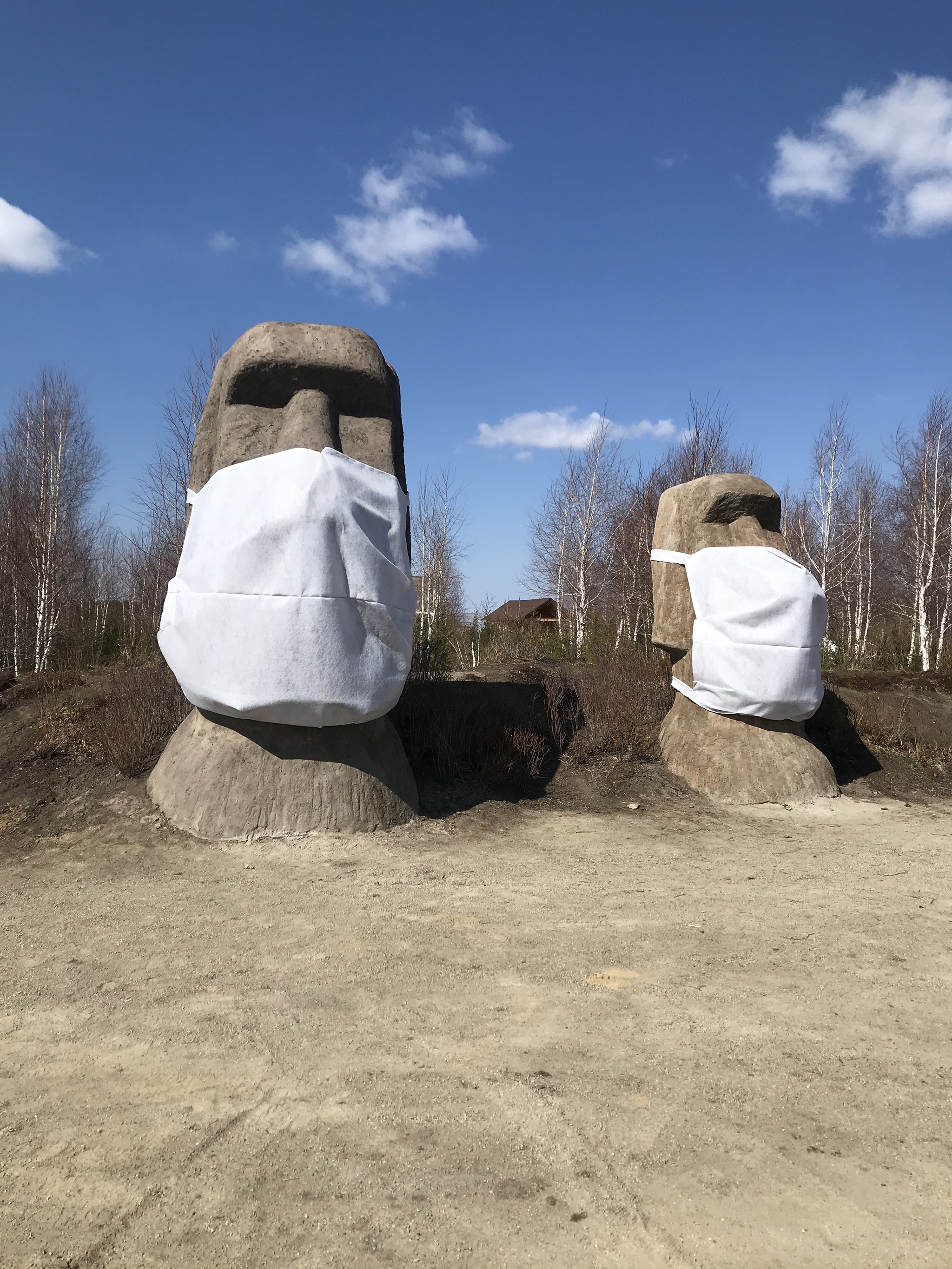 Статуи Моаи во время пандемии - Моё, Остров Пасхи, Питомник, Юмор, Моаи, Самоизоляция, Длиннопост