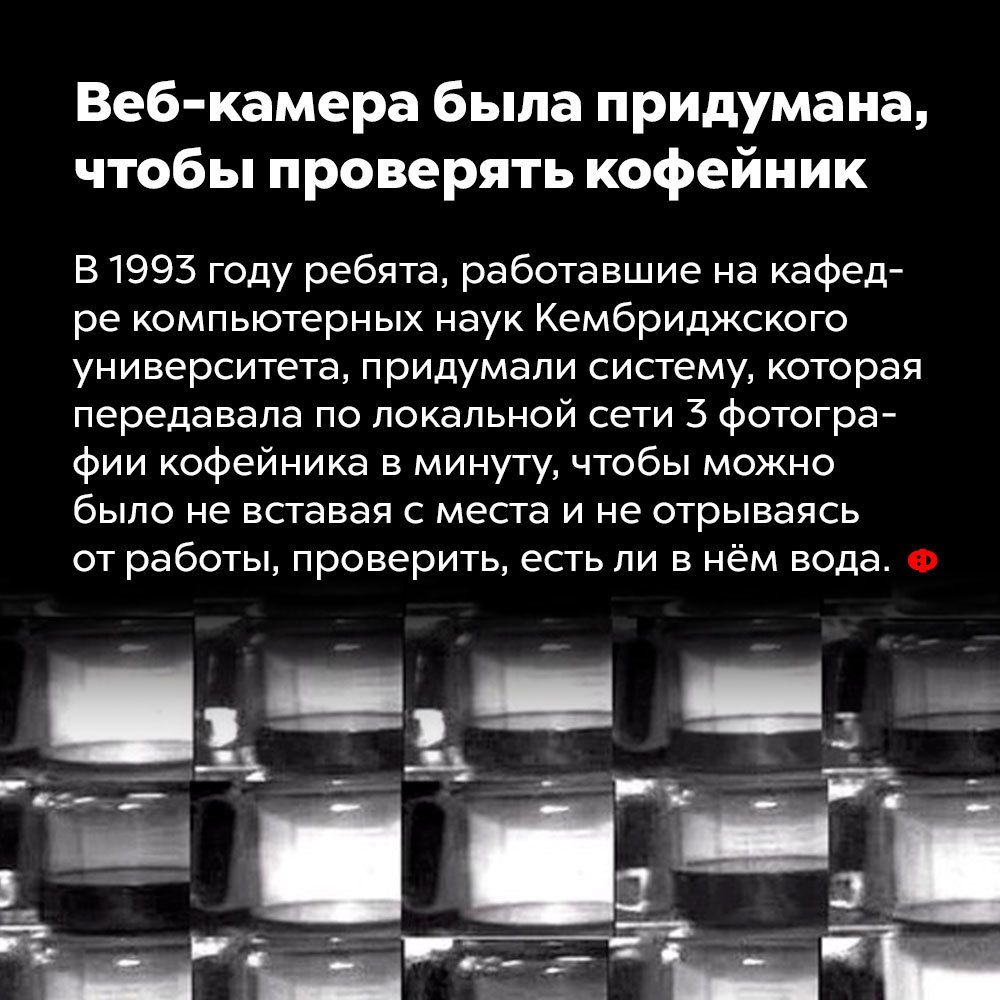 7 интересных фактов о кофе - Кофе, Факты, Интересное, Самое интересное в сети, Длиннопост