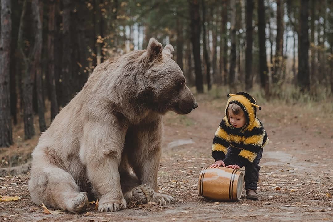Stepan and children - The Bears, Children, Longpost, Medved Stepan