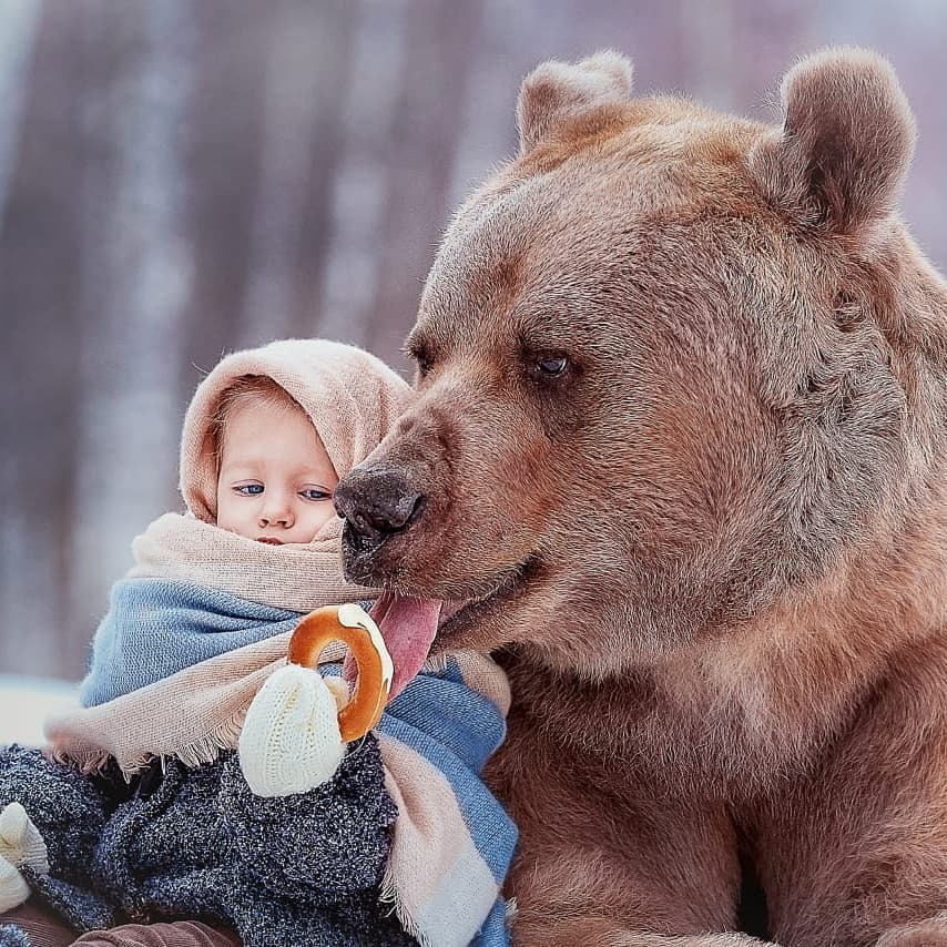 Stepan and children - The Bears, Children, Longpost, Medved Stepan