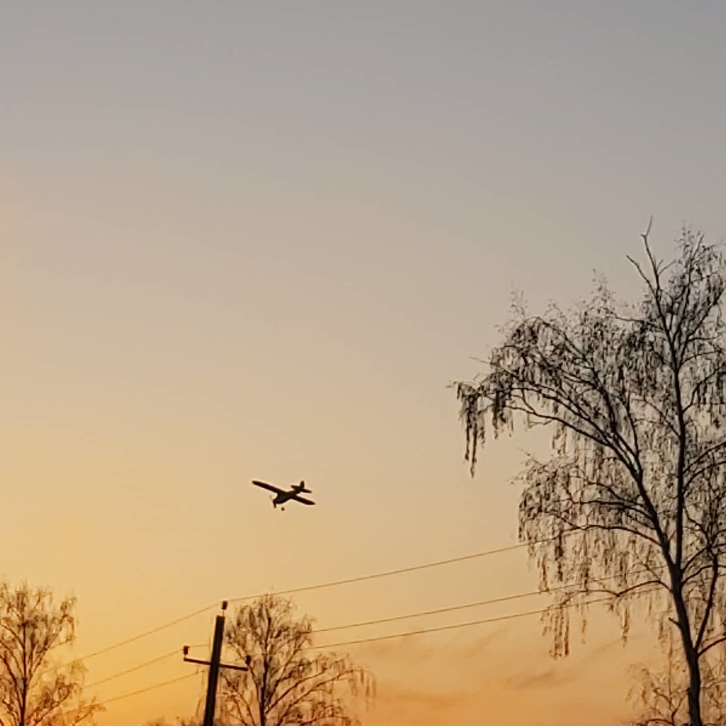 Волна постов про отношения - Моё, Благодарность, Кот, Хобби, Позитив, Я люблю Пикабу, Длиннопост