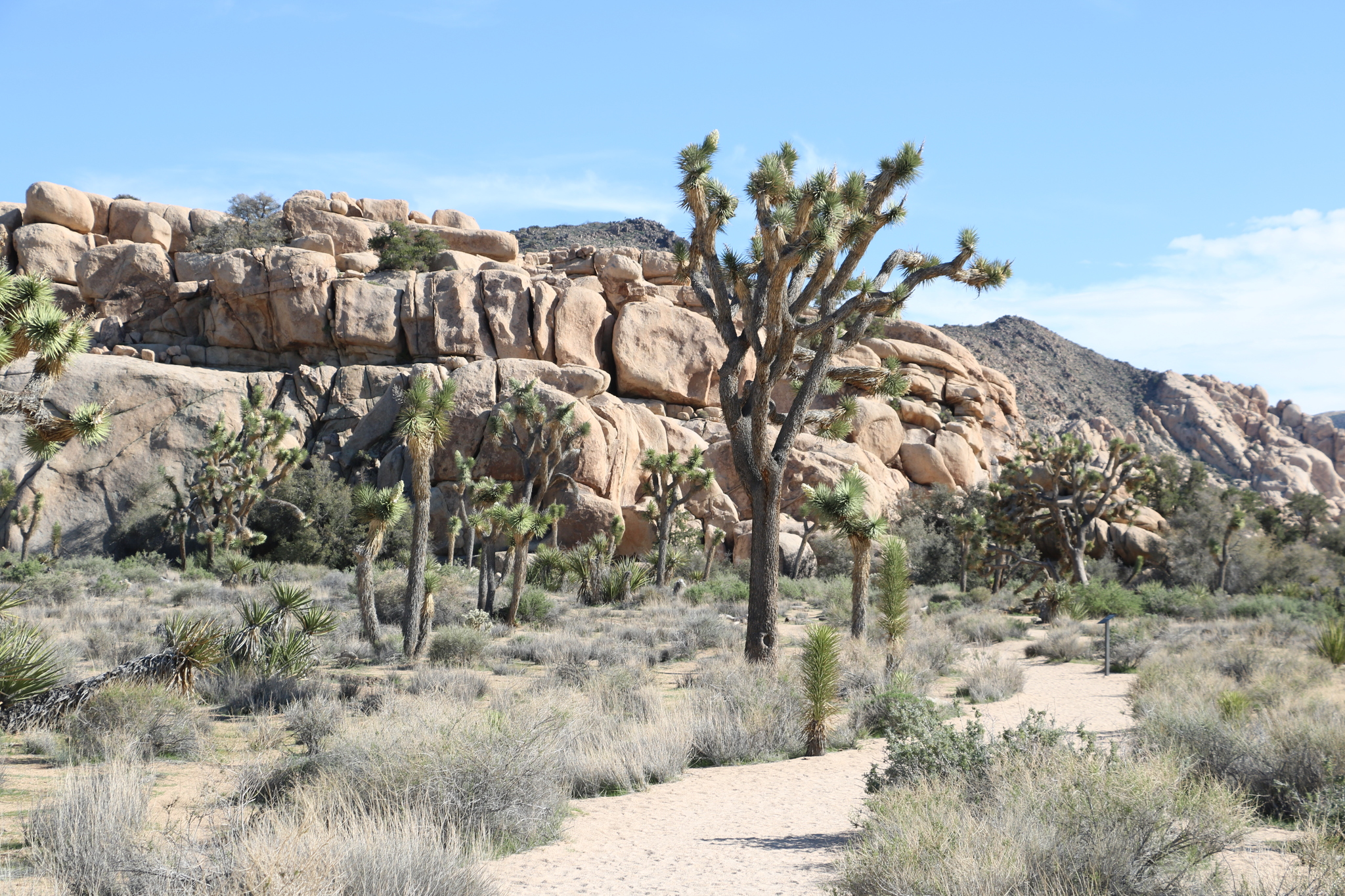 California - preamble - My, Nature, Overview, Longpost, California, USA