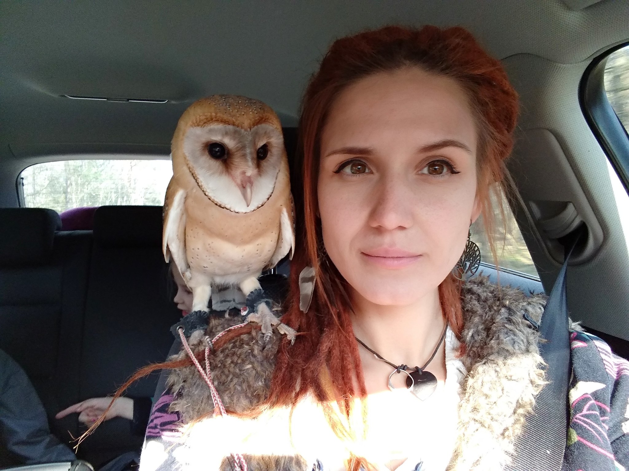 Why owls are not stupid at all - My, Owl, Barn owl, Predator birds, Falconry, Education, Sokolniki, Longpost