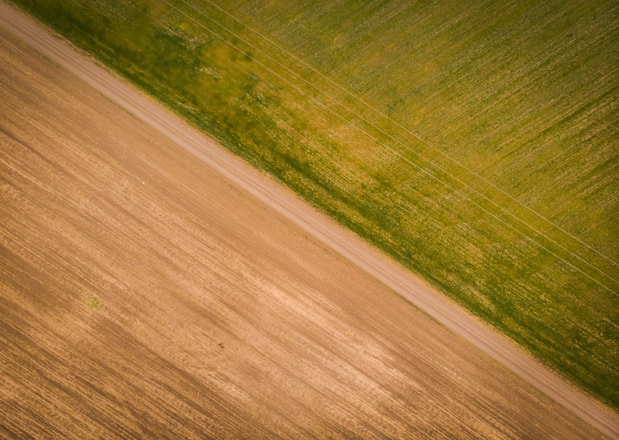 Fields - My, Mavicair, Dji