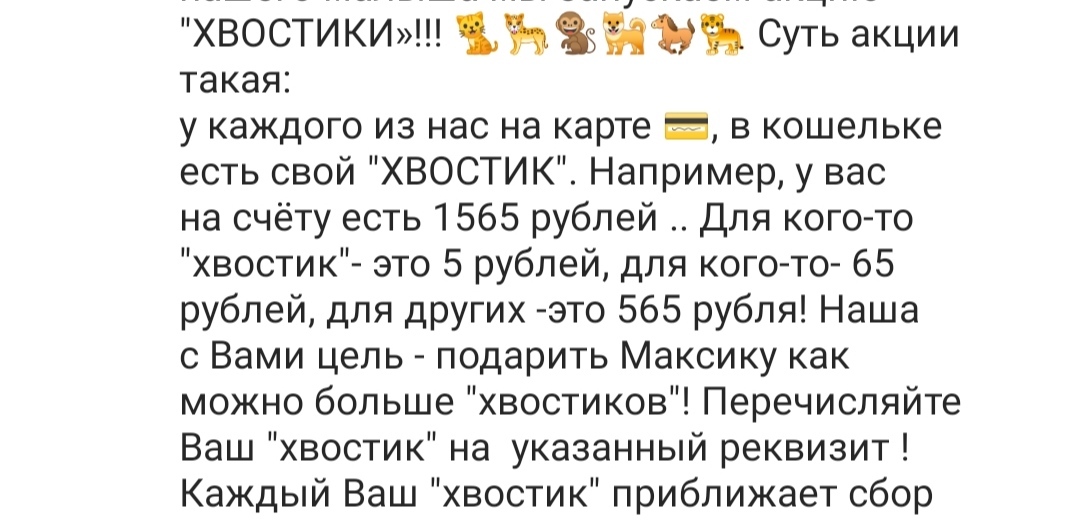 A few scandals, a little intrigue and a lot of investigations - Fraud, Instagram, Расследование, Deception, Internet Scammers, Divorce for money, Longpost