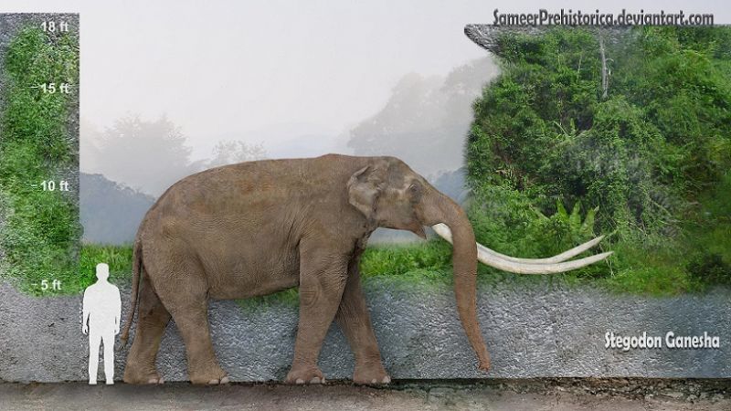 Extinct elephants - My, Elephants, Paleontology, Evolution, Animals, Interesting, Informative, Longpost, Dinoterium