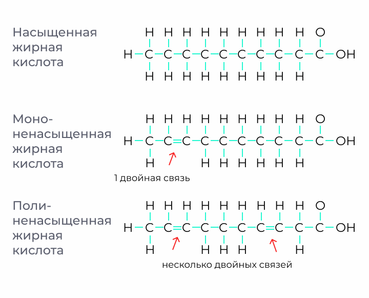 Chemistry. Fatty acid - My, The science, Chemistry, Nauchpop, Fatty acids, Longpost