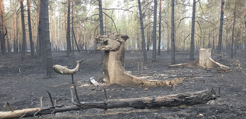 Fires in Chernobyl - My, Cat_cat, Chernobyl, Fire, Chernobyl, Pripyat, Video, Longpost