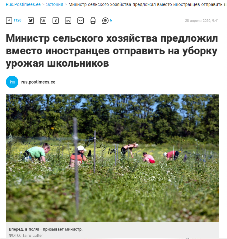 Back in the USSR, or is it something else? - Estonia, Economy, Food, Media and press, Screenshot, Harvest, Coronavirus, Politics