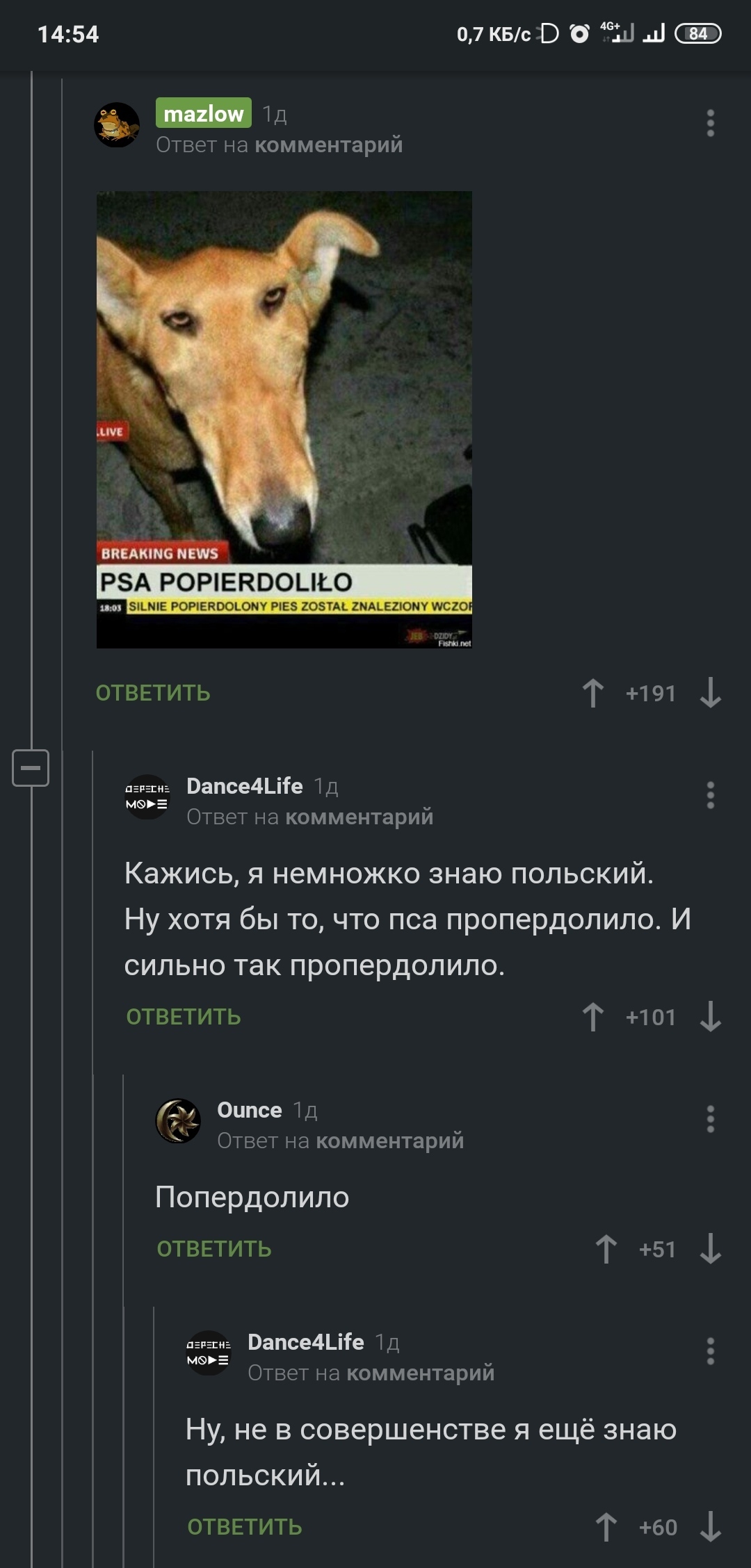 Learning Polish - cat, Dog, Screenshot, Comments on Peekaboo, Longpost