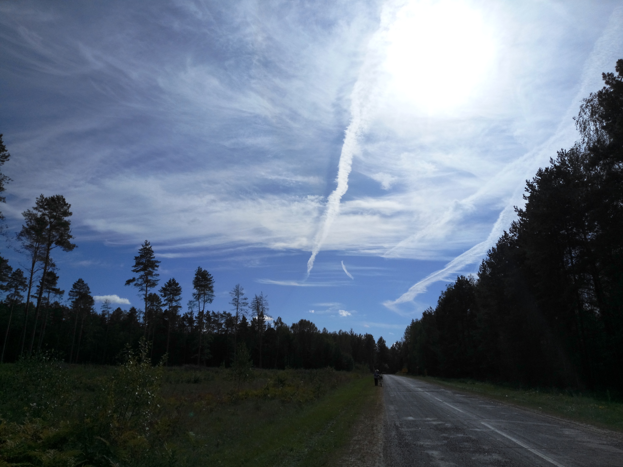 What Ukrainians like about the Republic of Belarus) - My, Republic of Belarus, Forest, Childhood, Memories, The photo, Nature, Longpost