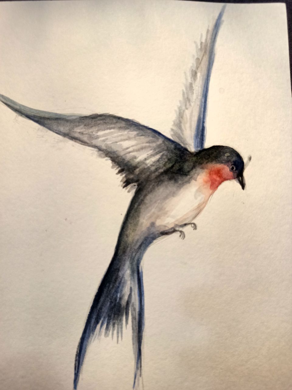 Watercolor (and not only) birds - Watercolor, Art, Birds, Author's story, Marker, Longpost