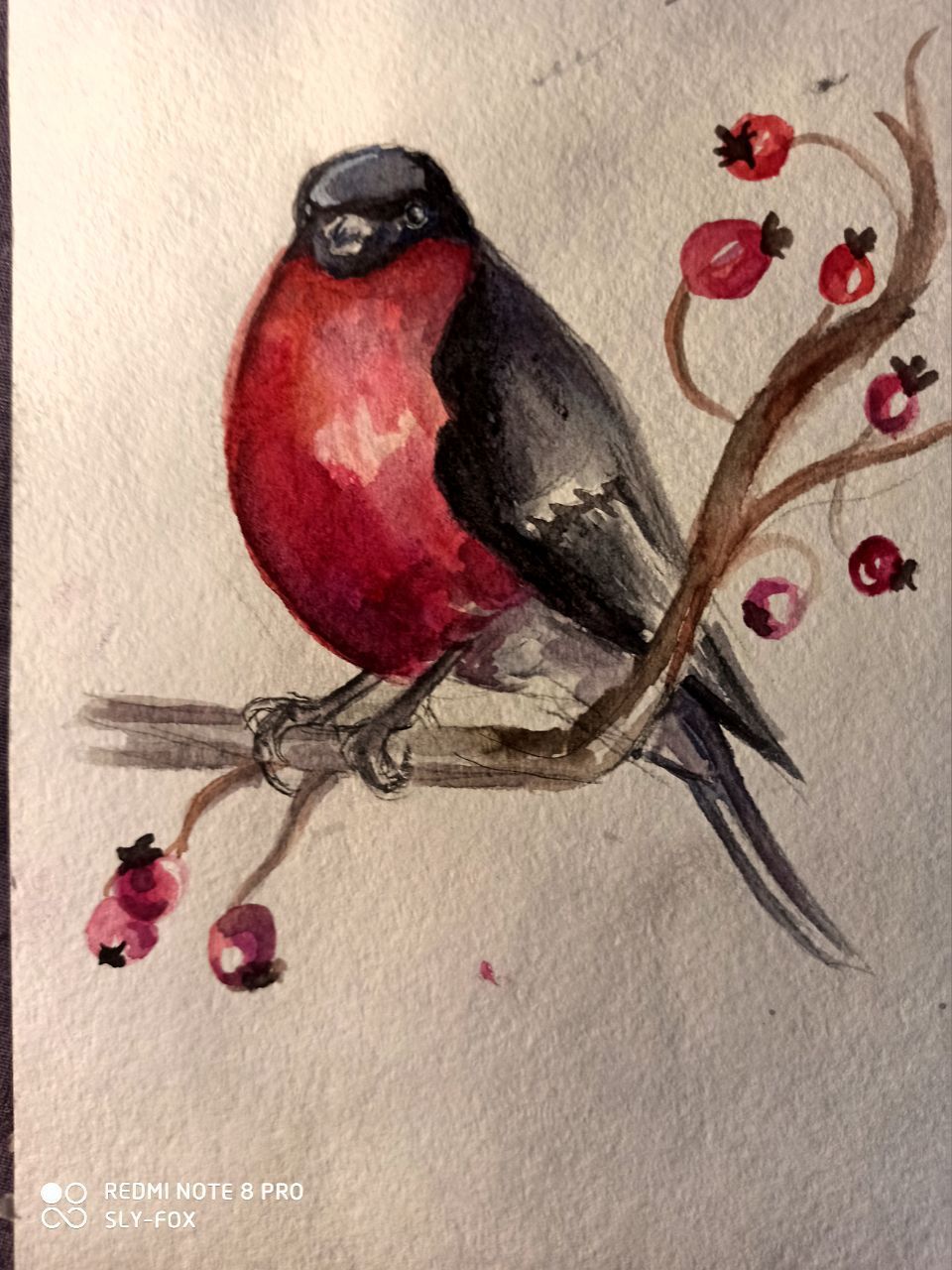 Watercolor (and not only) birds - Watercolor, Art, Birds, Author's story, Marker, Longpost