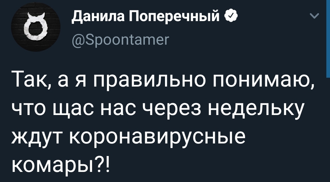 Как спать после такого вопроса? - Twitter, Скриншот, Коронавирус, Комары