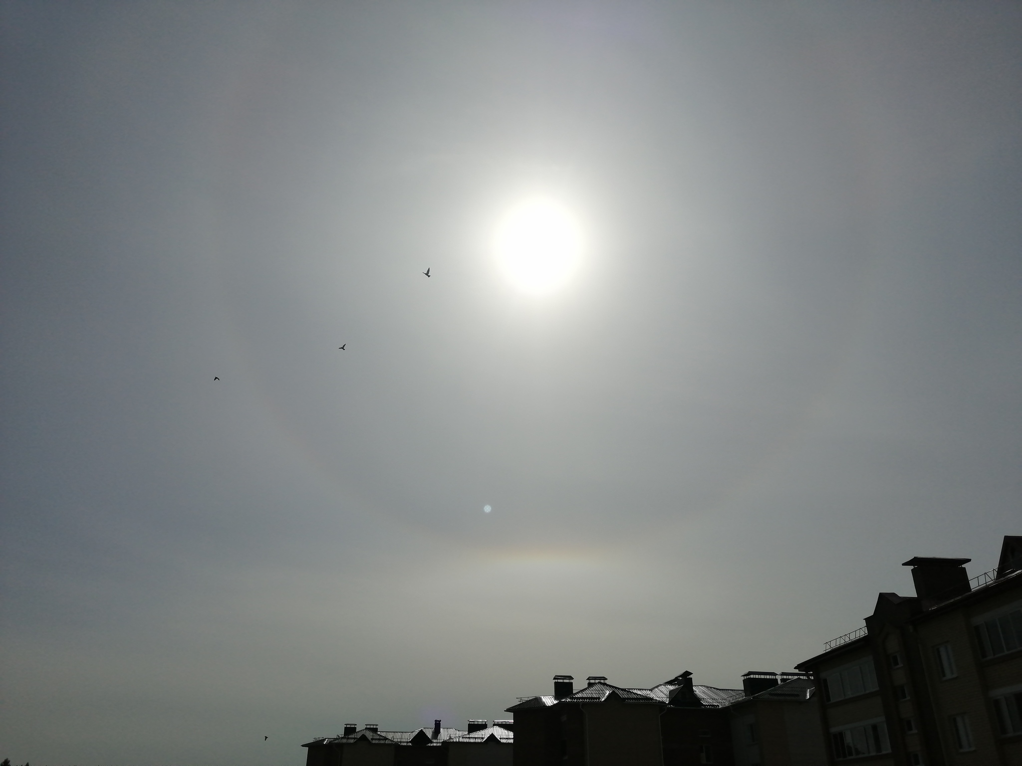 solar halo - My, The sun, Halo, UFO, What's this?, No rating, Longpost