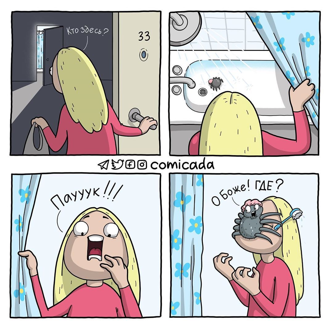 Don't yell at the spider! - Comicada, Comics, Spider, Bathroom