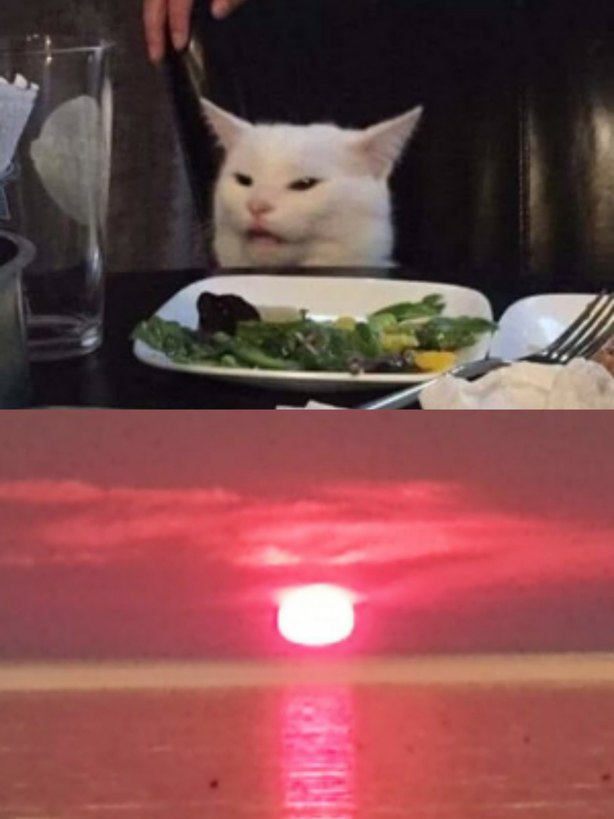 Coincidence? - My, Sunset, Coincidence, cat, Longpost