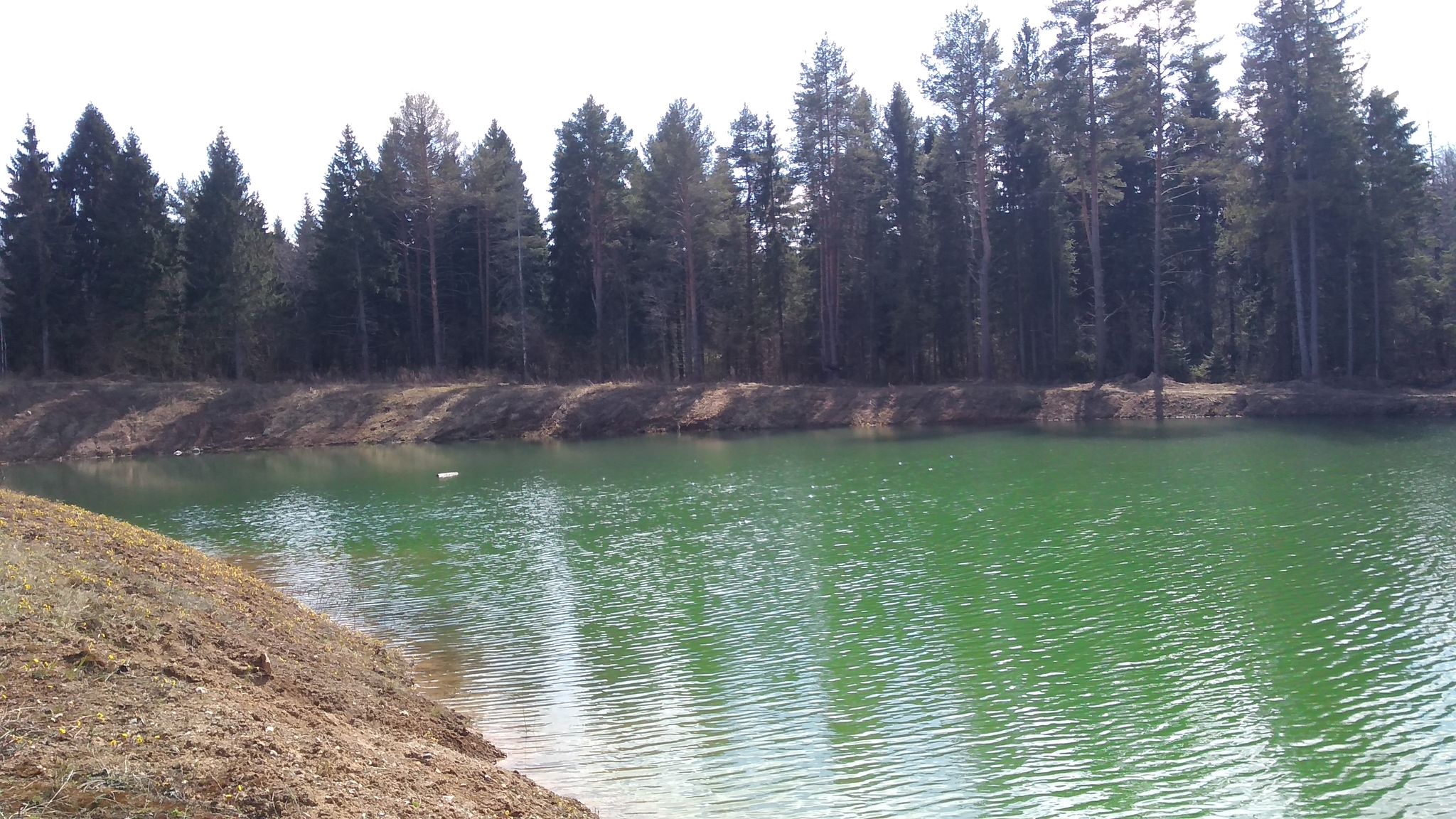 Yesterday I took a walk to the quarries - The photo, Nature, Water, Longpost