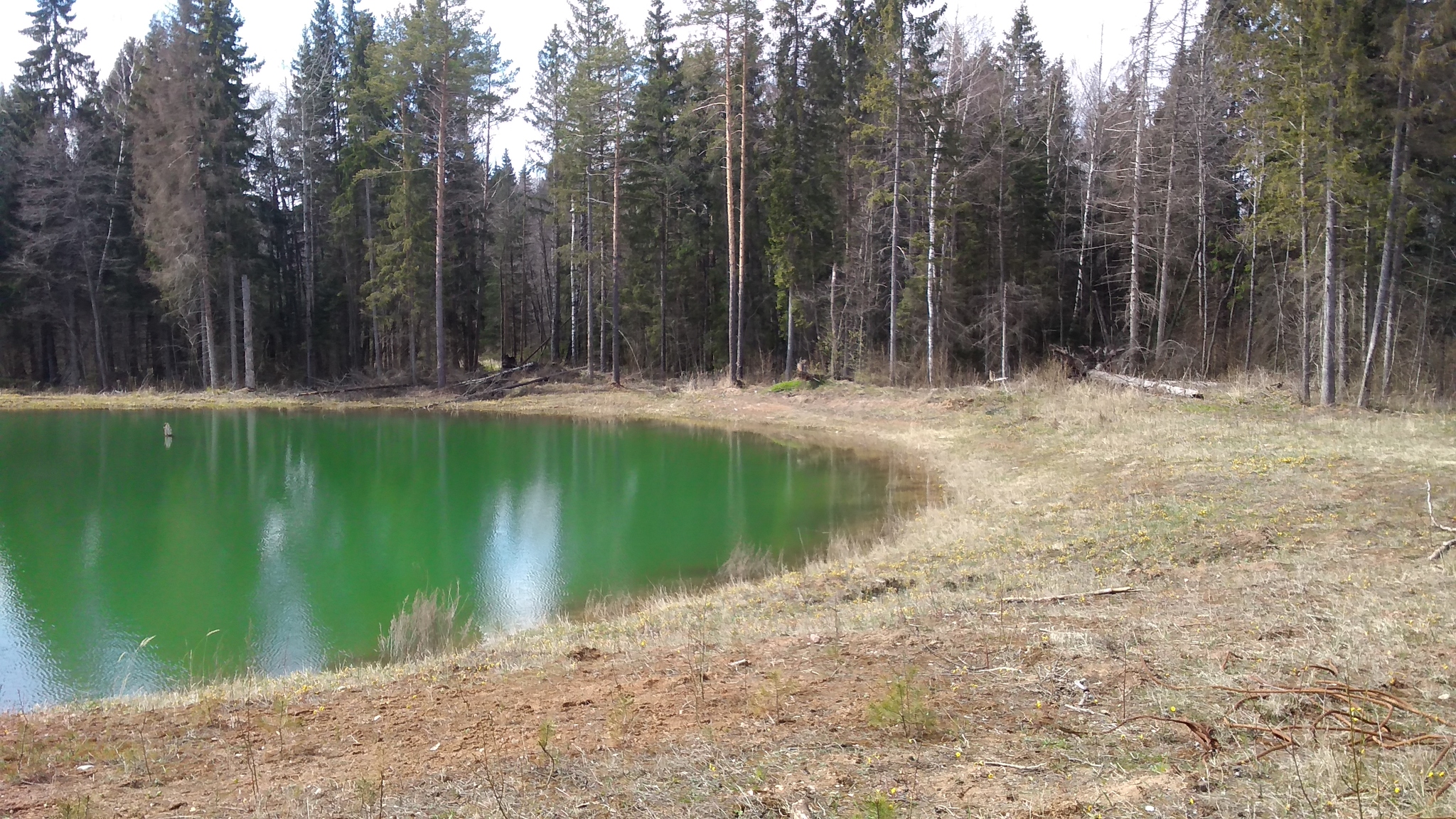 Yesterday I took a walk to the quarries - The photo, Nature, Water, Longpost