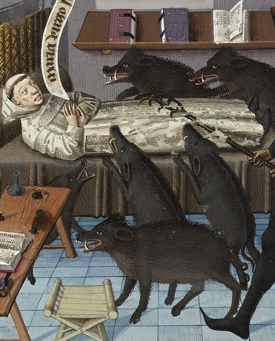 Natasha, are you sleeping? - Suffering middle ages, Morning, Pets, Natasha we dropped everything