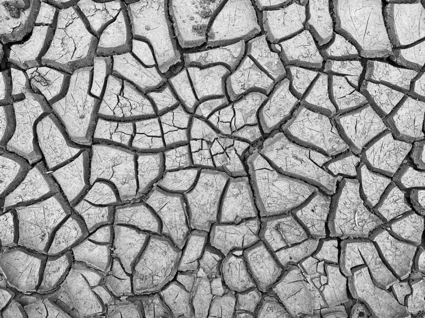 dried puddle - My, Republic of Belarus, Mobile photography, Dirt, Black and white, Structure