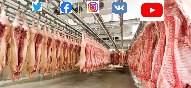 How I see all these self-presentations on social networks - My, Social networks, Bloggers, Meat