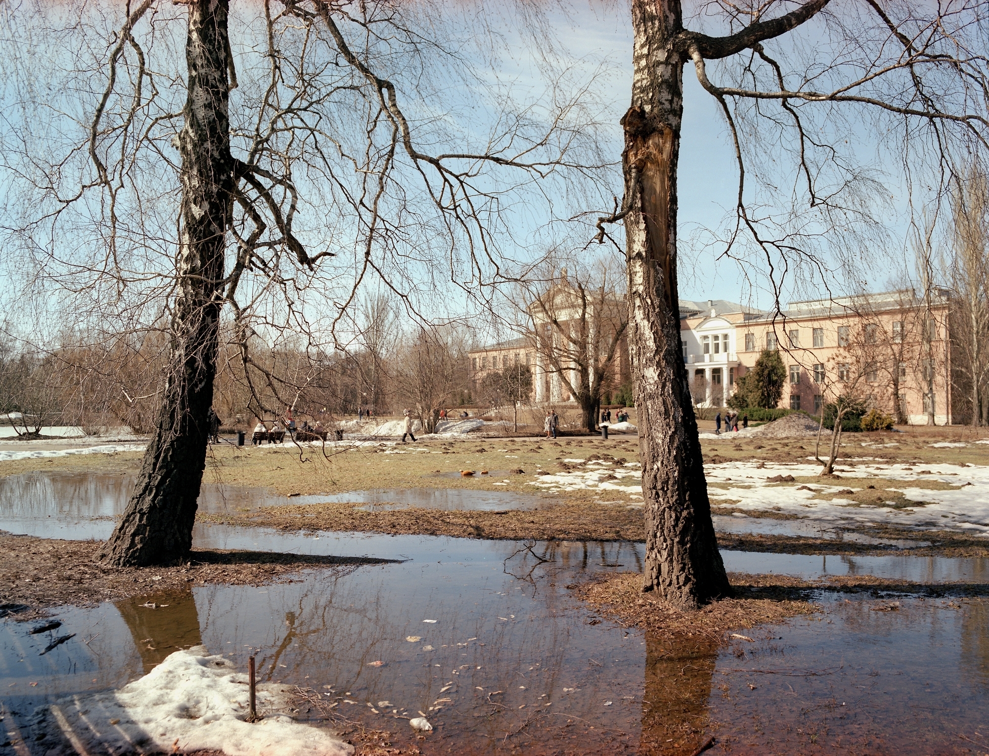 Spring of last year - My, The photo, Film, Pentax 67, Medium format, Longpost