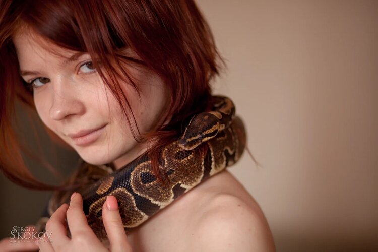 Snake - NSFW, My, Erotic, Snake, Python, Longpost, Breast