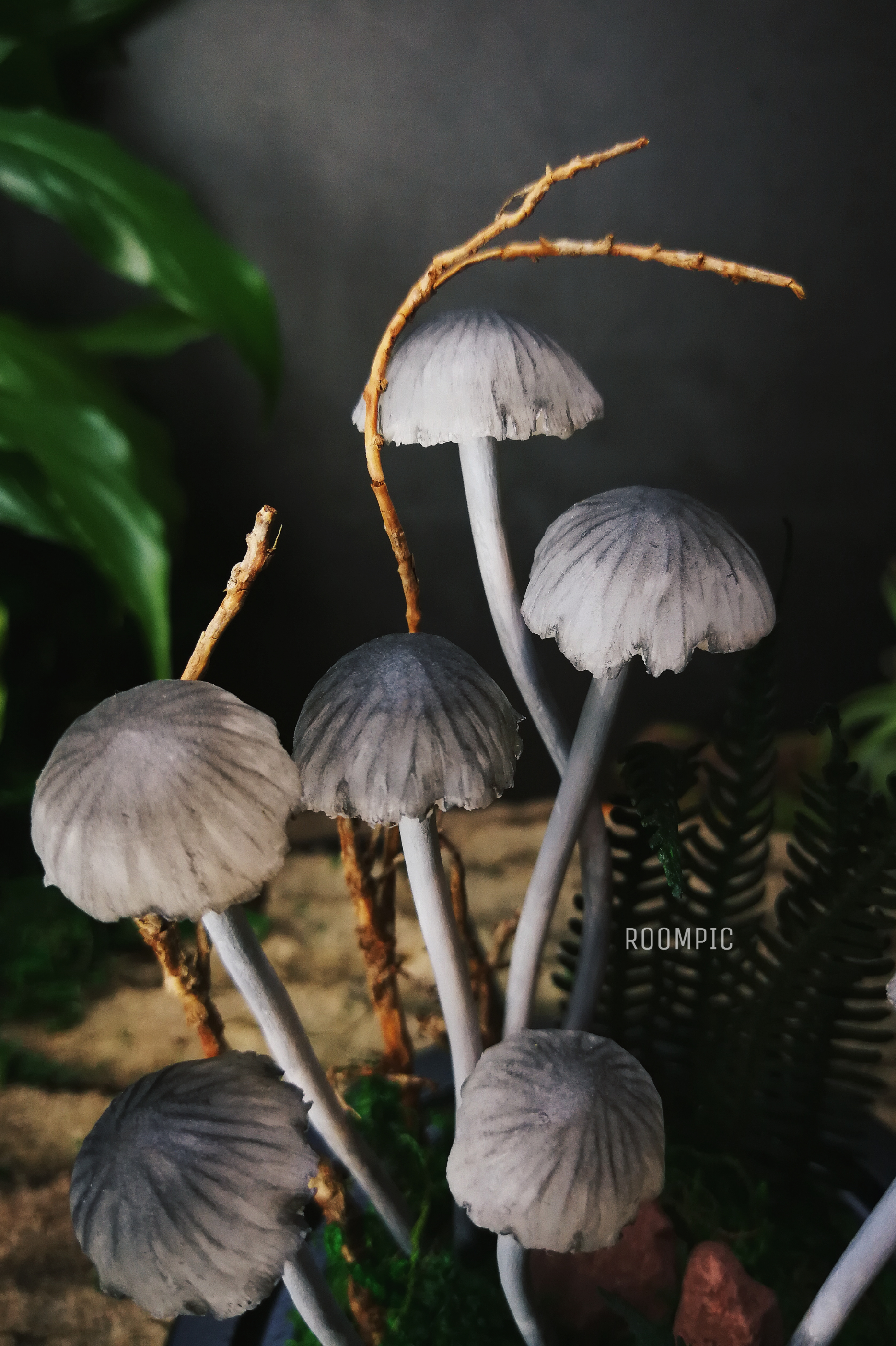 Glowing mushrooms, micro toadstools - My, Needlework without process, Handmade, Polymer clay, Mushrooms, Longpost