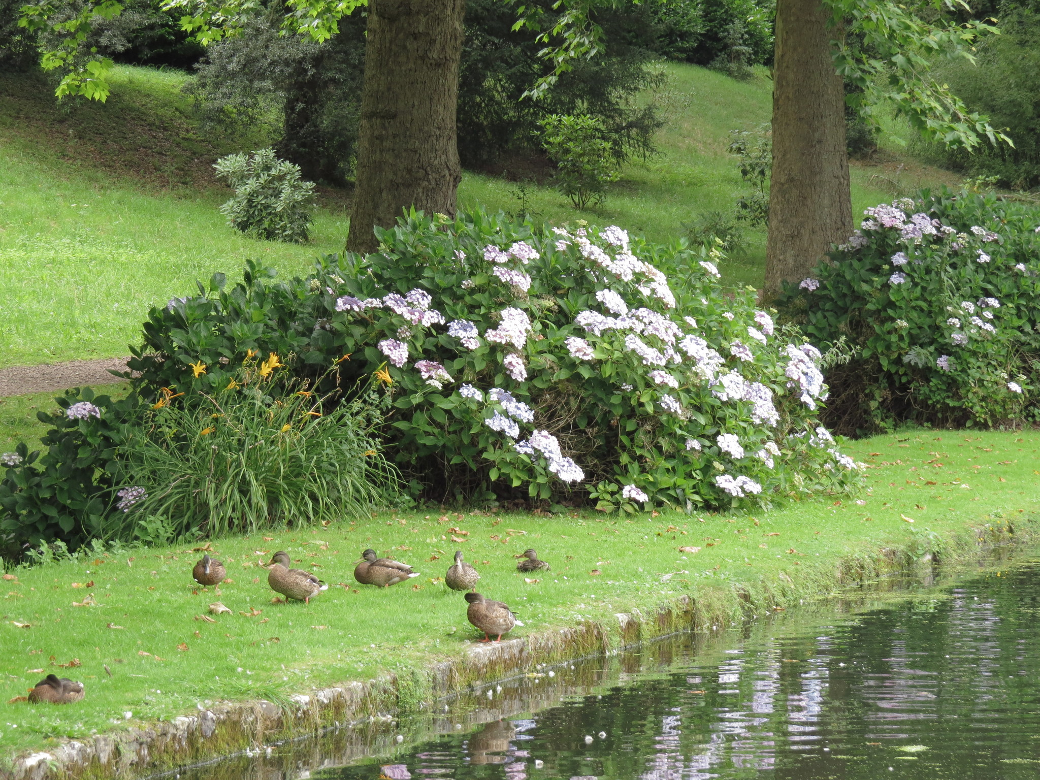 St Fagans National History Museum - My, Wales, Great Britain, Museum, Story, Architecture, Gardens, The park, Longpost