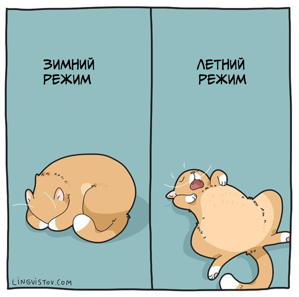 From the life of cats - Comics, Lingvistov, cat, Longpost