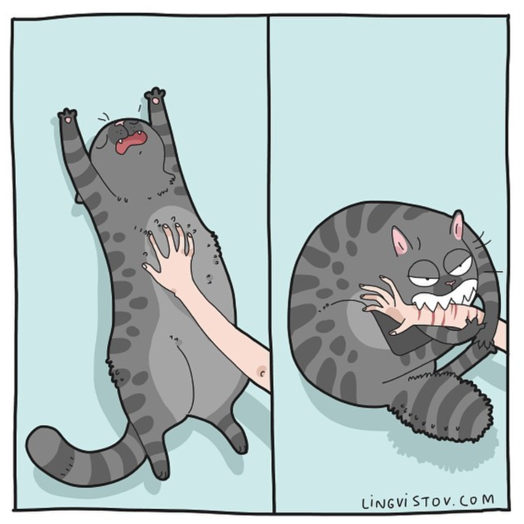 From the life of cats - Comics, Lingvistov, cat, Longpost