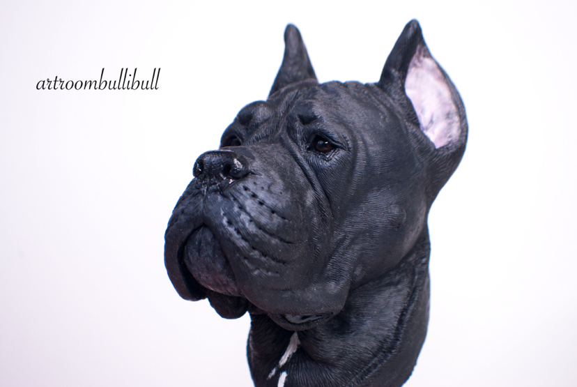 Cane Corso Bust - My, Cane Corso, Corse, Bust, Polymer clay, Cernit, Handmade, Video, Longpost, Dog