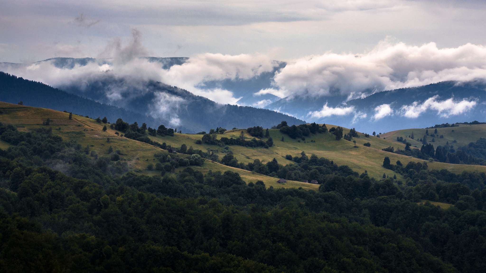 Now I would like to go to the mountains, and not all this - My, The photo, Landscape, The mountains, Carpathians, Fog, Nikon